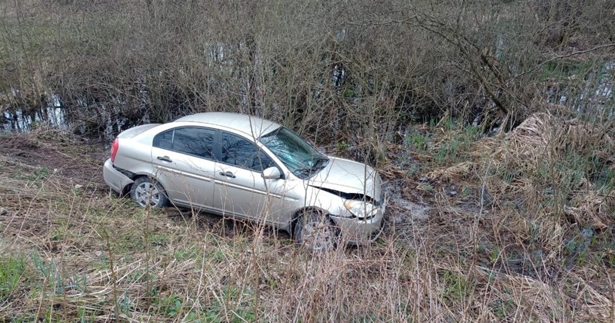 На Звягельщині під час ДТП травмувалася пасажирка автомобіля: розпочато розслідування