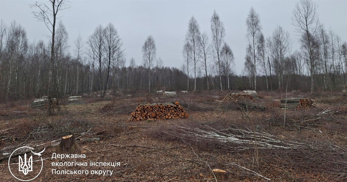 На Звягельщині виявили порубку дерев різних порід орієнтовною площею 35 га