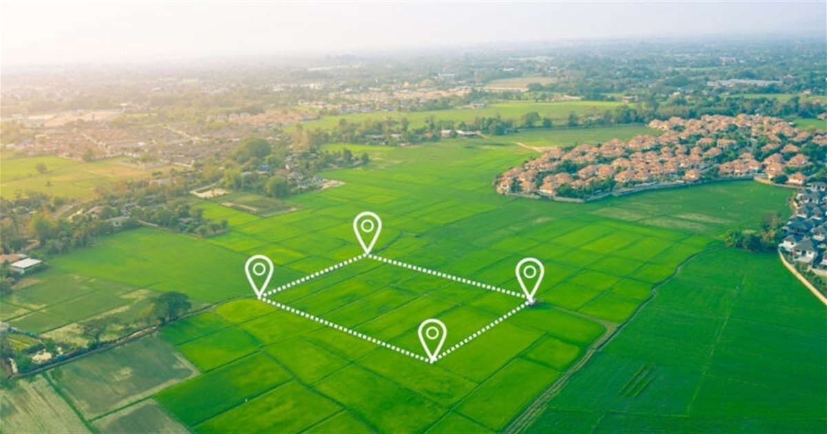 Чи можна продати земельну ділянку без кадастрового номера: роз’яснення міськради Звягеля