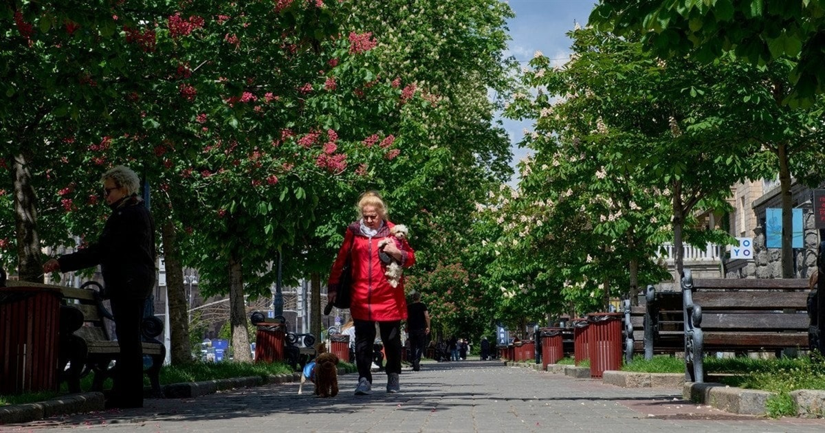 Що змінюється в Україні з 1 червня 2026 року. Реформа армії, кешбек, бронювання і комуналка