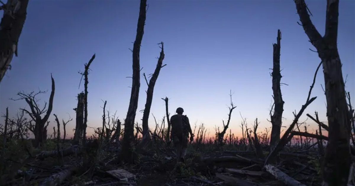 Два українські фільми увійшли до шортлиста "Оскара-2026". Що це за стрічки