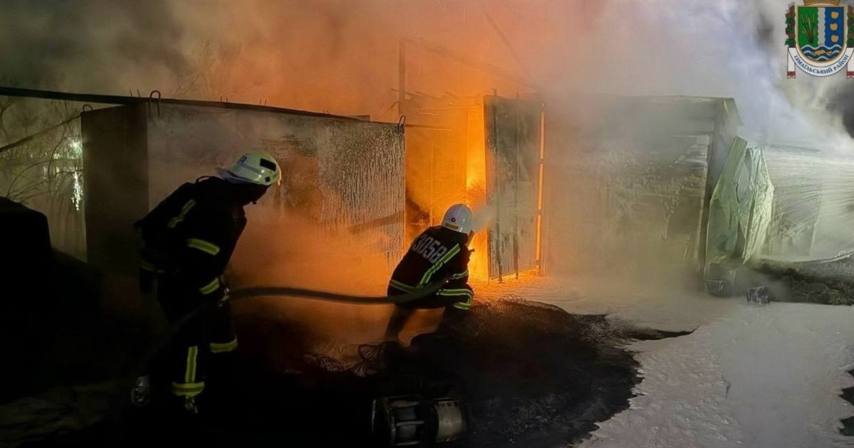 Через атаку шахедів на Ізмаїльський район постраждав Дунайський біосферний заповідник