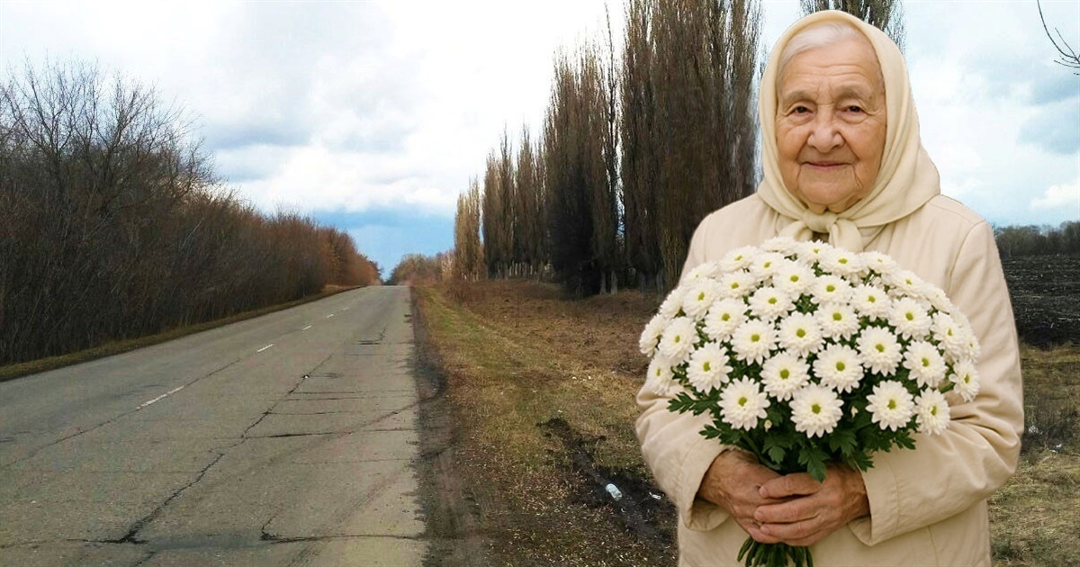 Білі хризантеми