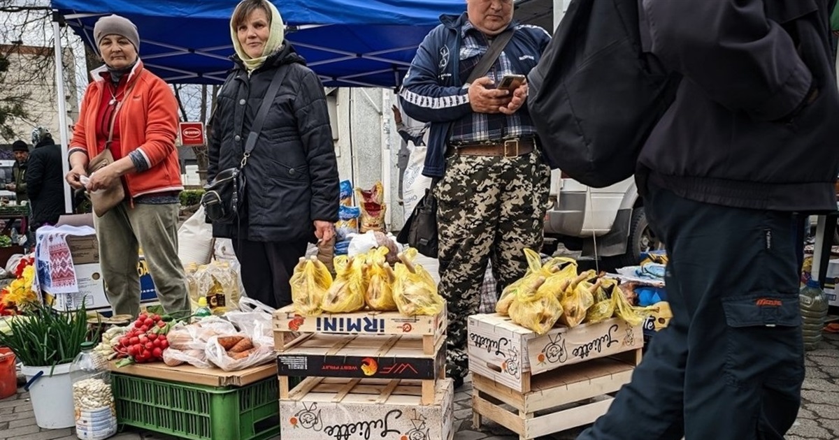 Ціни на ринку у Звягелі цієї неділі: овочі, фрукти, молоко та м’ясо