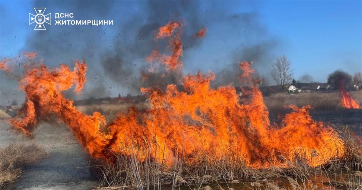 Житель Звягельщини отримав опіки, намагаючись загасити траву