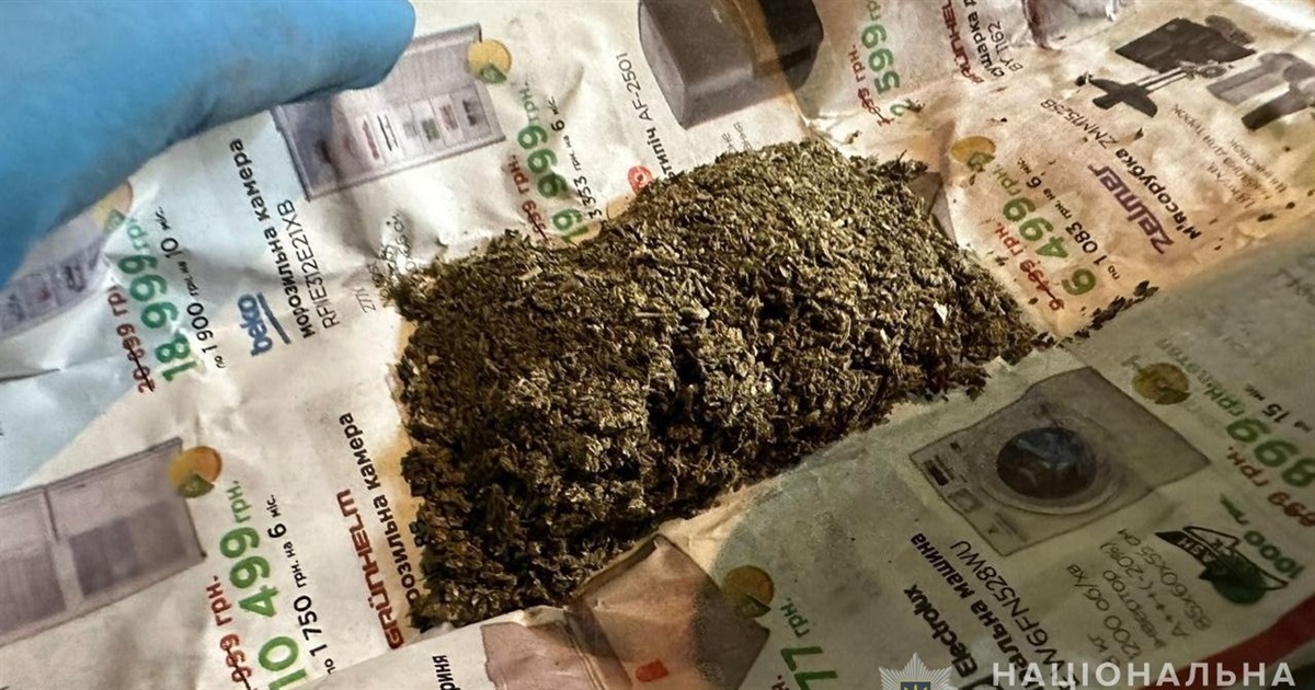 У Білопіллі поліцейські виявили незаконний посів нарковмісних рослин