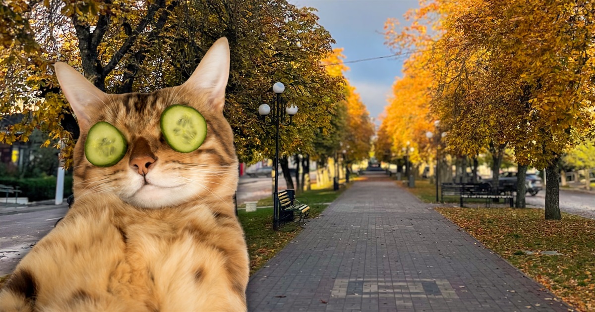 Топ місць для молоді: куди піти і чим зайнятися в Сарнах