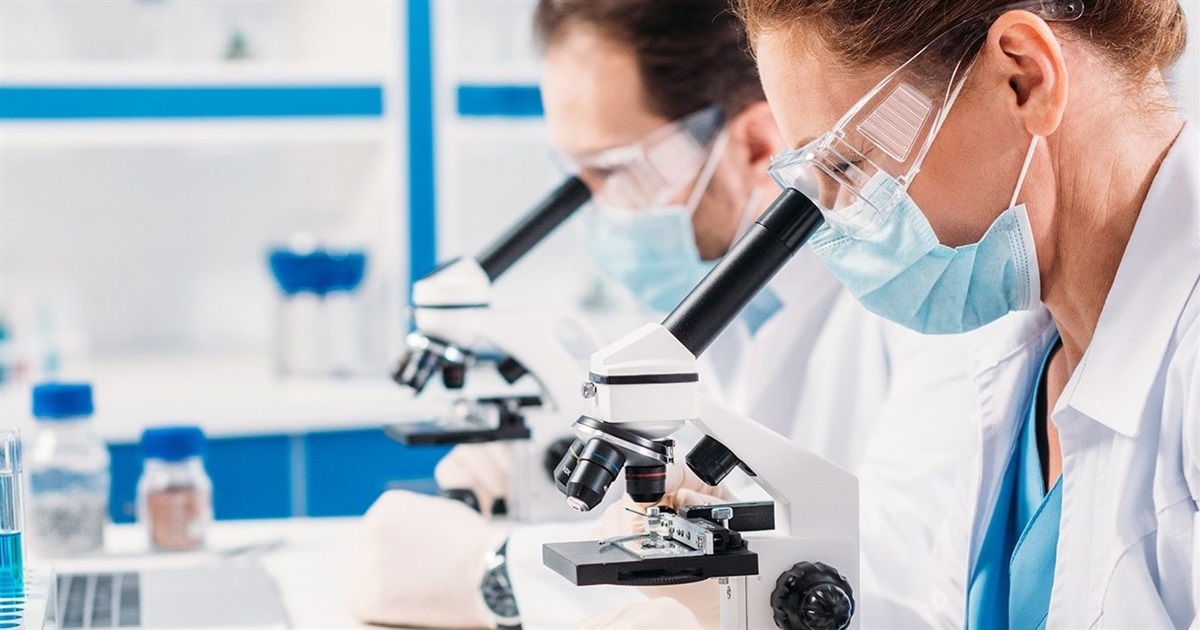 Епізоотична та епідемічна ситуація на Житомирщині: сказ, АЧС та харчові отруєння