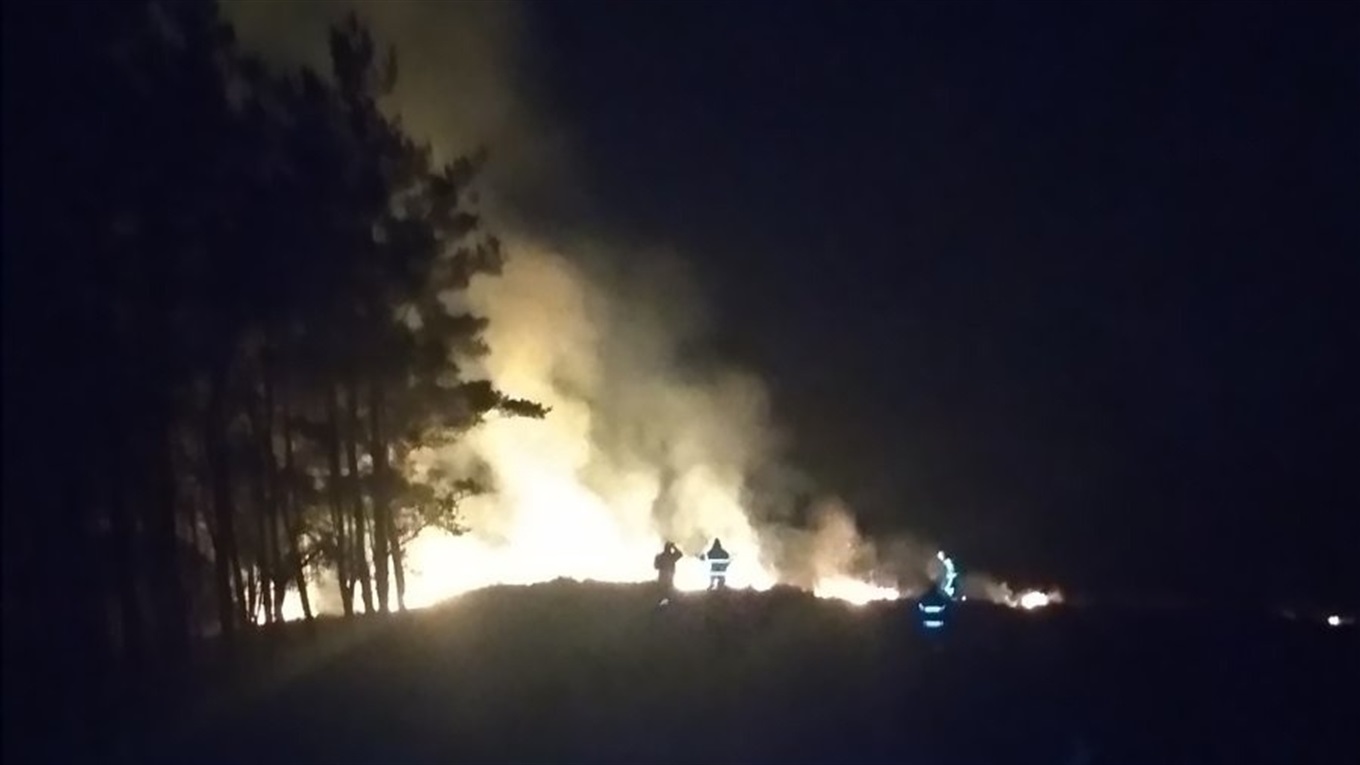 У Ржищеві рятувальники гасили траву. Палії знову беруться за справу?