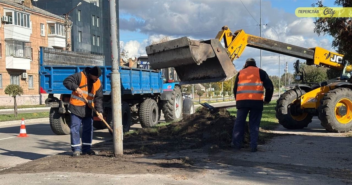 У Переяславі уздовж тротуару на вулиці Покровській готуються саджати дерева