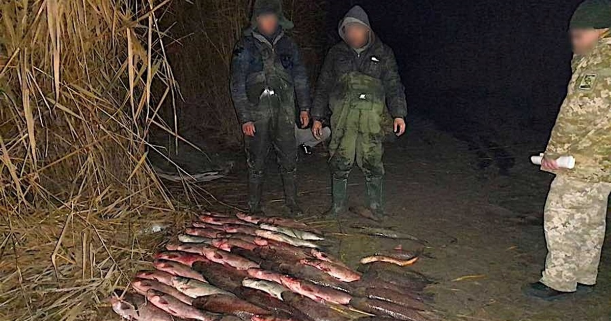 На Ялпуге задержали браконьеров с полусотней рыбин