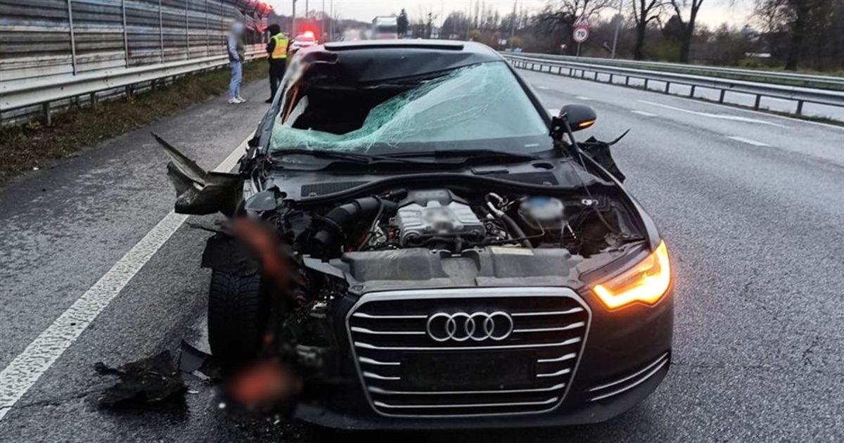 Завершено розслідування ДТП: 22-річний водій Audi на смерть збив жінку на пішохідному переході