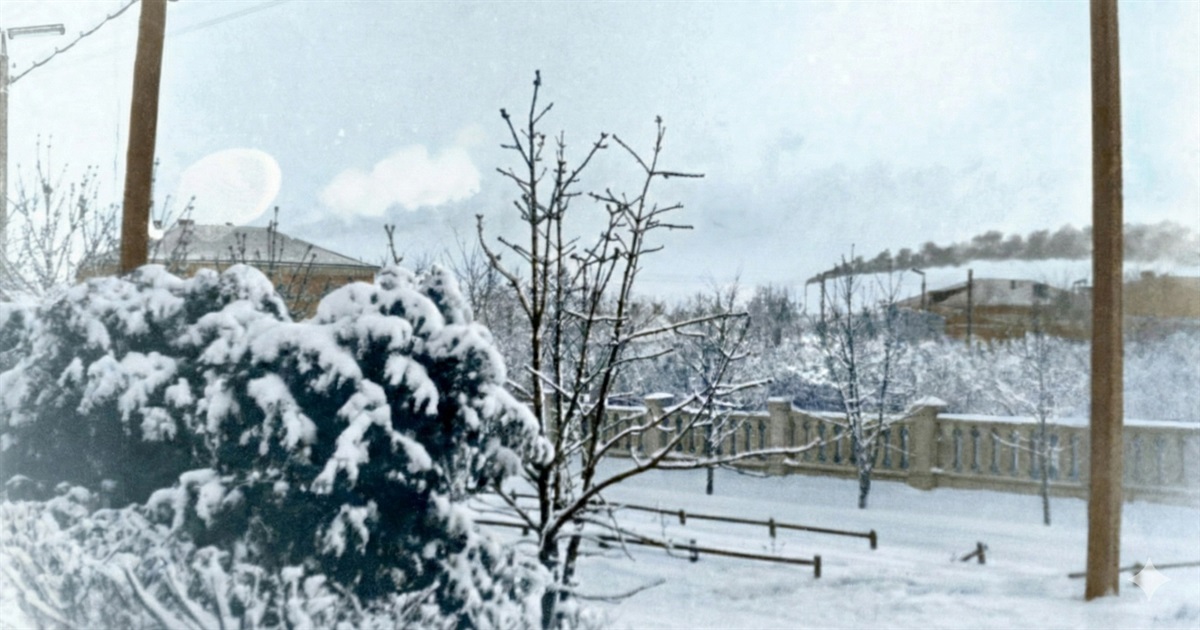 Туман, дощ із мокрим снігом та ожеледиця: що прогнозують синоптки Сумщини та України