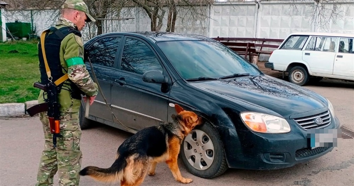 Собаки на службі у поліції Житомирщини шукають вибухонебезпечні предмети