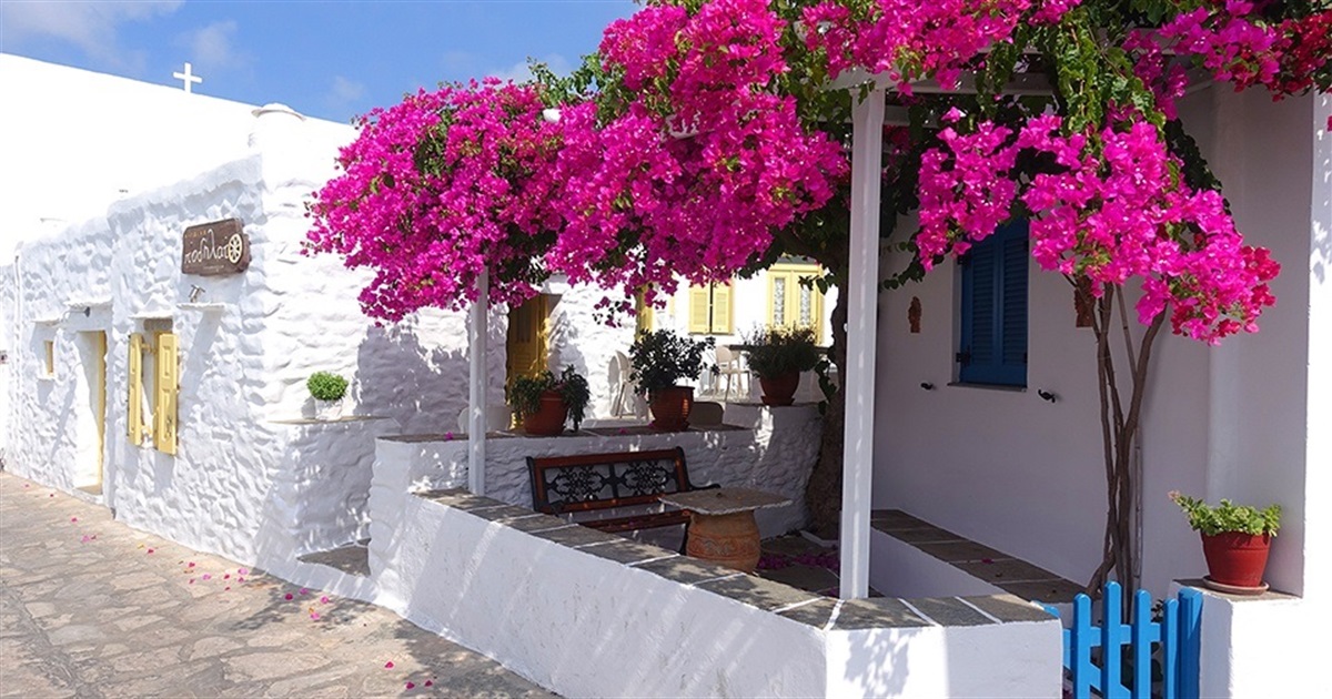 Забутий острів Греції, який не поступається Санторіні. Сіфнос — чому туди варто їхати