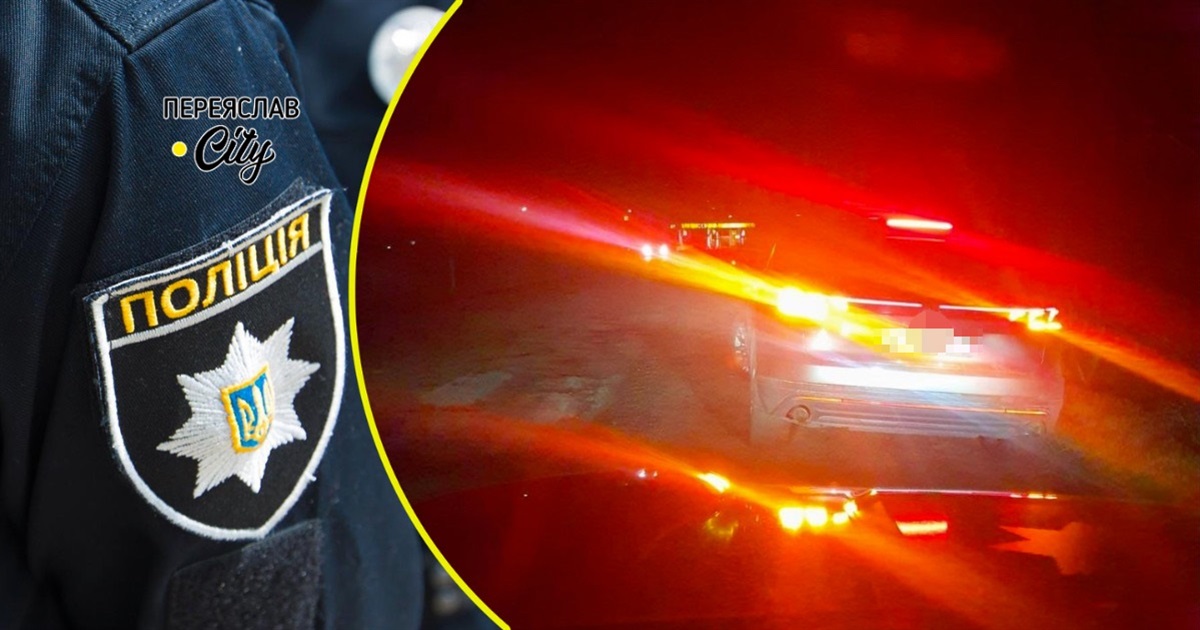 На Переяславщині водій збив птаха, який раптово вилетів на дорогу: хроніка поліції