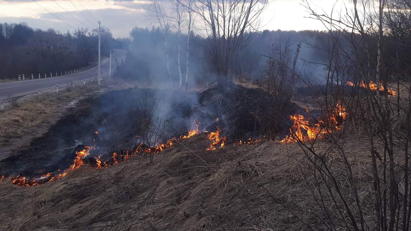 Кременчани не реагують на заборони і продовжують палити суху траву