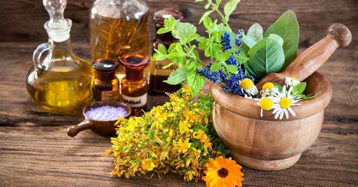 Як зміцнити імунітет: 5 найкращих продуктів