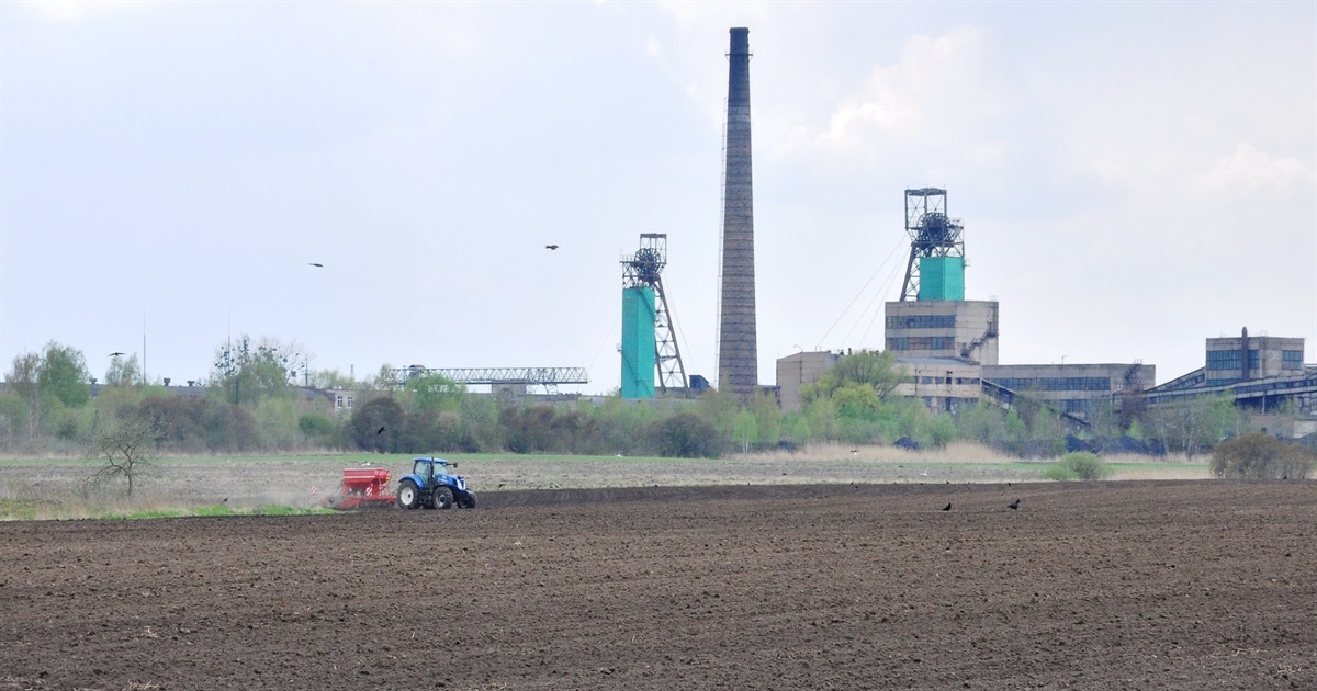 Посівна під час війни: чи будемо з хлібом?