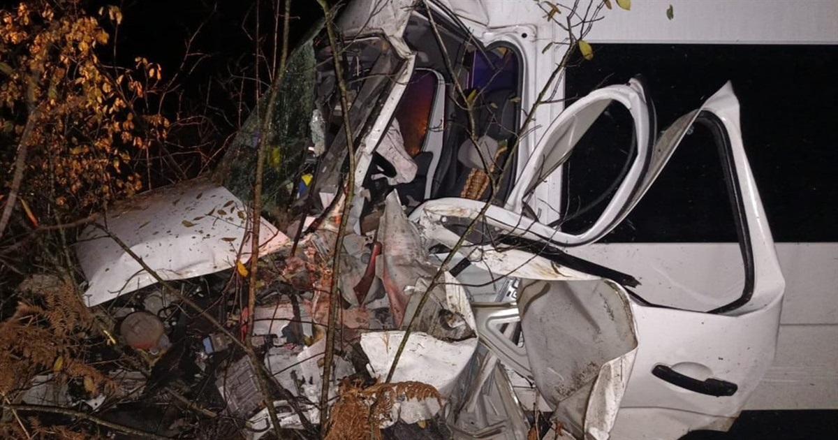 На Звягельщині мікроавтобус злетів у кювет: постраждала жінка