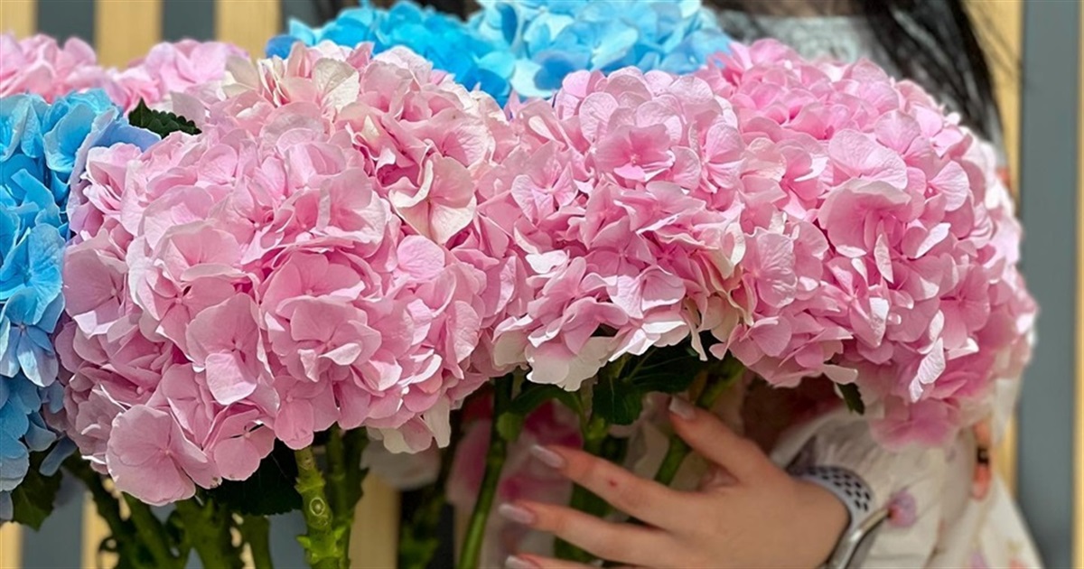 Лайфкахи від Flowers.ua: як обрати букет квітів та доглядати за ним
