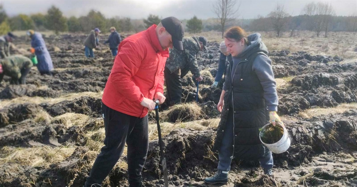 Дерева для майбутнього: як Студениківська громада відновлює зелені легені Переяславщини