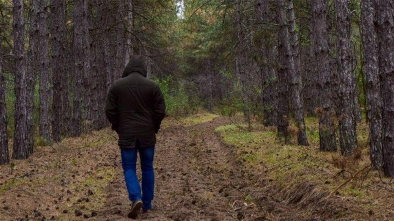 Запрошуємо на фотопрогулянку чарівним лісом