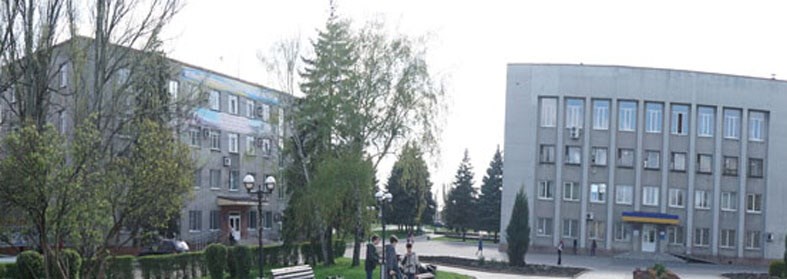 Які питання не розглядають у виконкомі міської ради