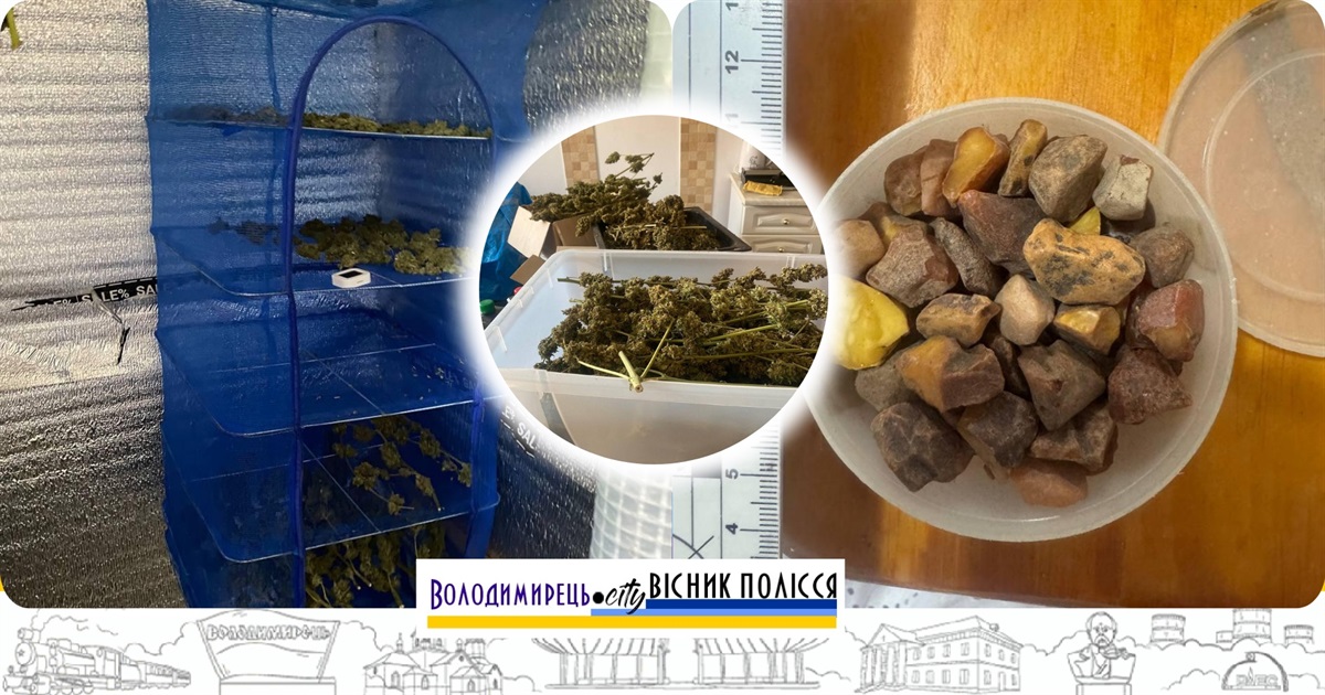 Варашанина підозрюють у збуті наркотиків. Що знайшли правоохоронці під час обшуку?