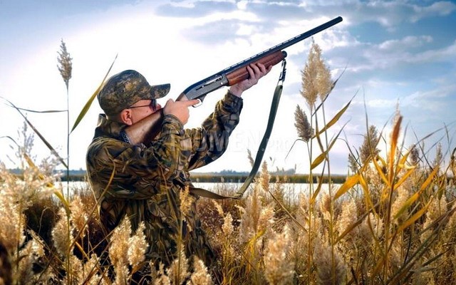 На Донеччині відкрито мисливський сезон