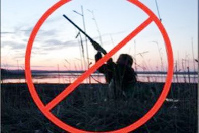 До уваги власників мисливської зброї: полювання заборонено