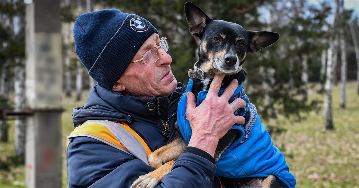 Запорізька спільнота рятує пса, викинутого з машини. Як можна допомогти?