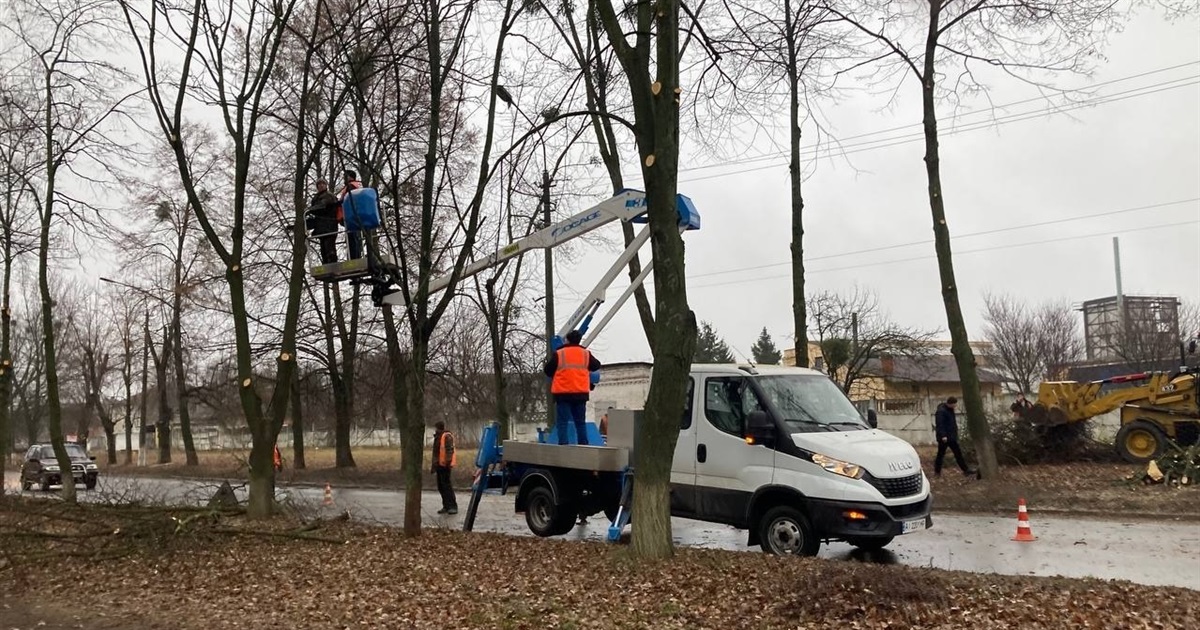 На Героїв Дніпра у Переяславі комунальники обрізають дерева: у ВУКГ пояснили причини