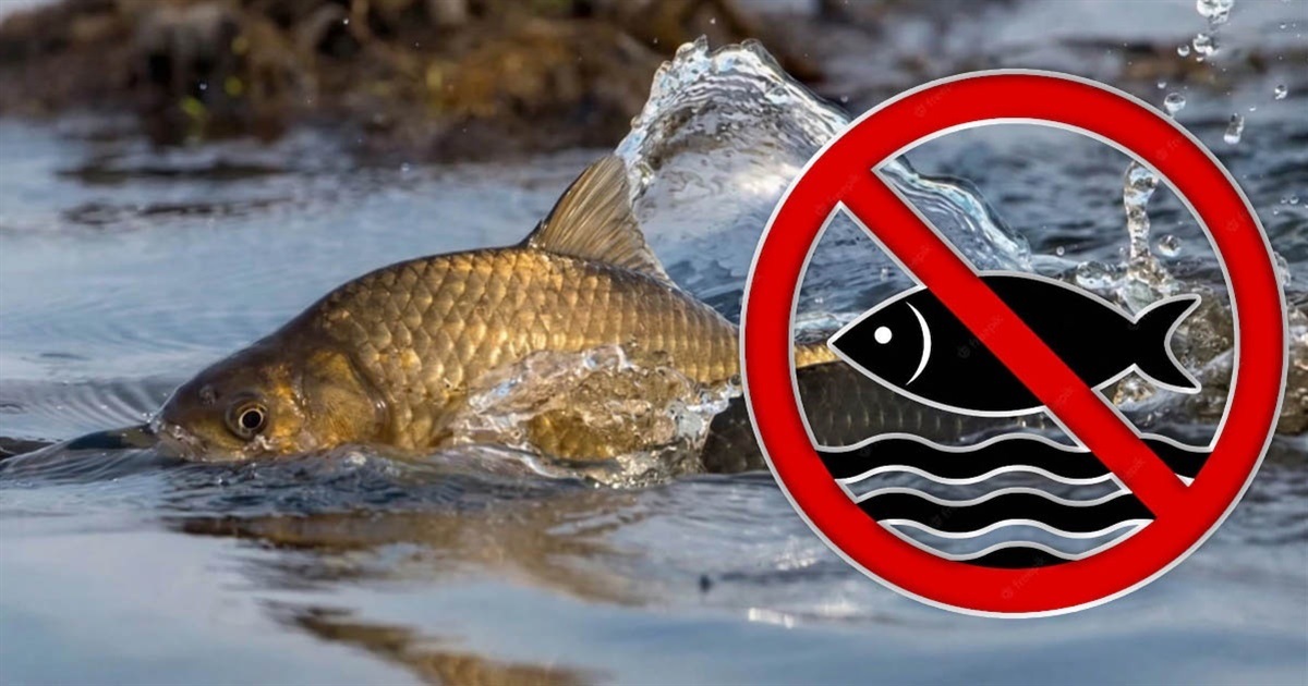 На Сумщині з 1 квітня діятиме весняно-літня заборона на рибальство