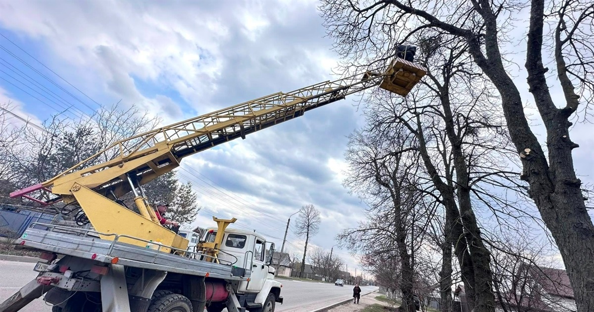 У Жмеринці проводять обрізку аварійних дерев та гілля, що заважає електроопорам