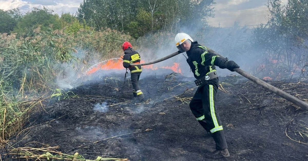 В Ізмаїлі знову масштабно горіло Леб’яже озеро
