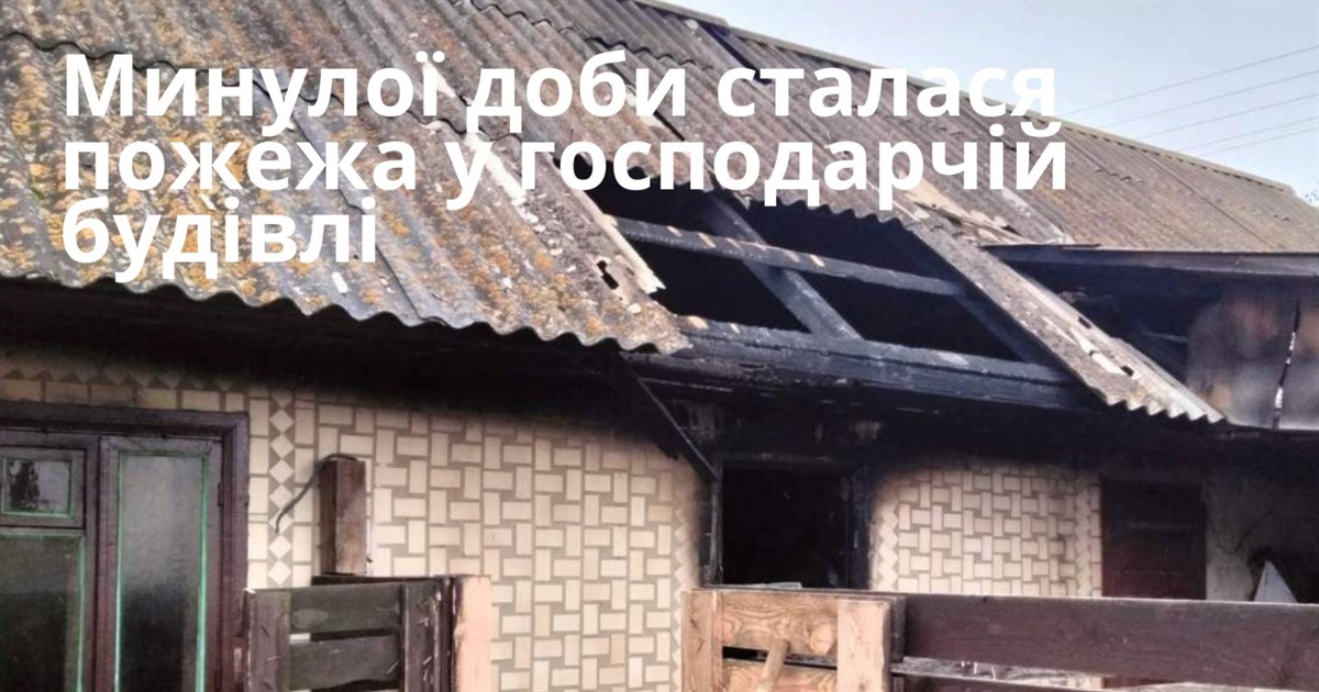 У господарчій будівлі на Звягельщині сталася пожежа
