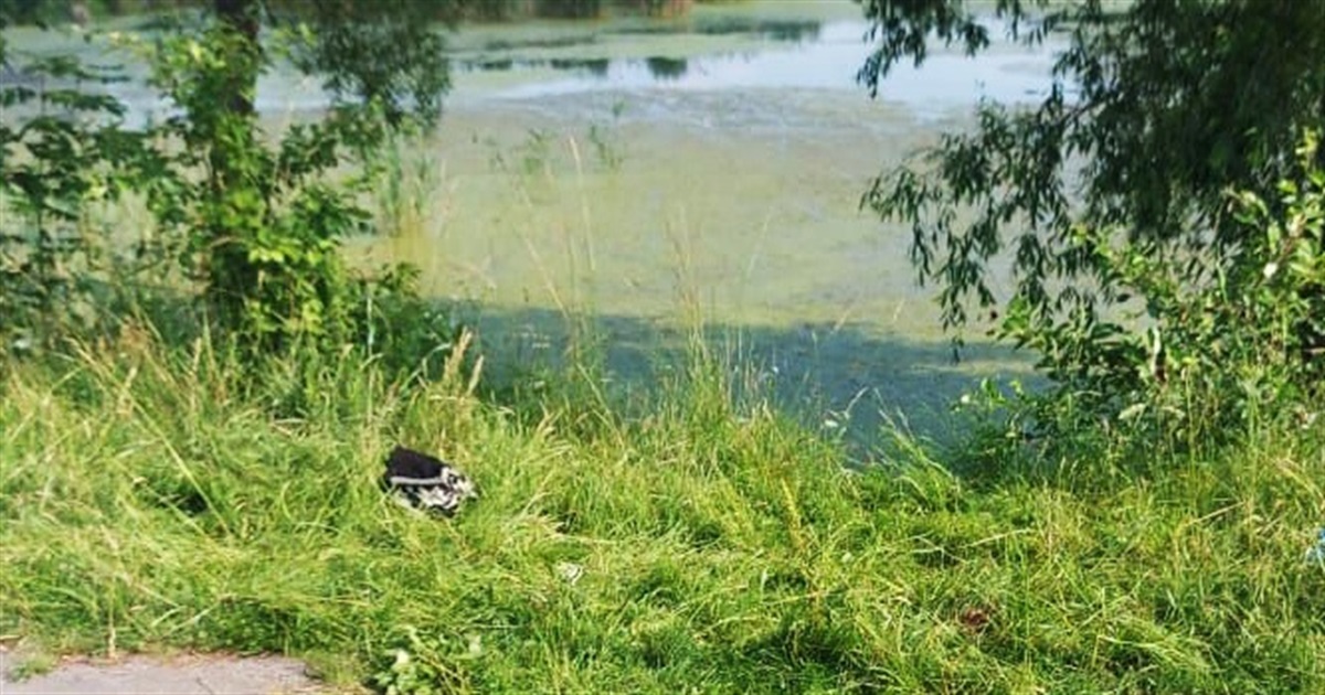 Жінка побила чоловіка та викинула його тіло у водойму: деталі кримінальної історії на Житомирщині