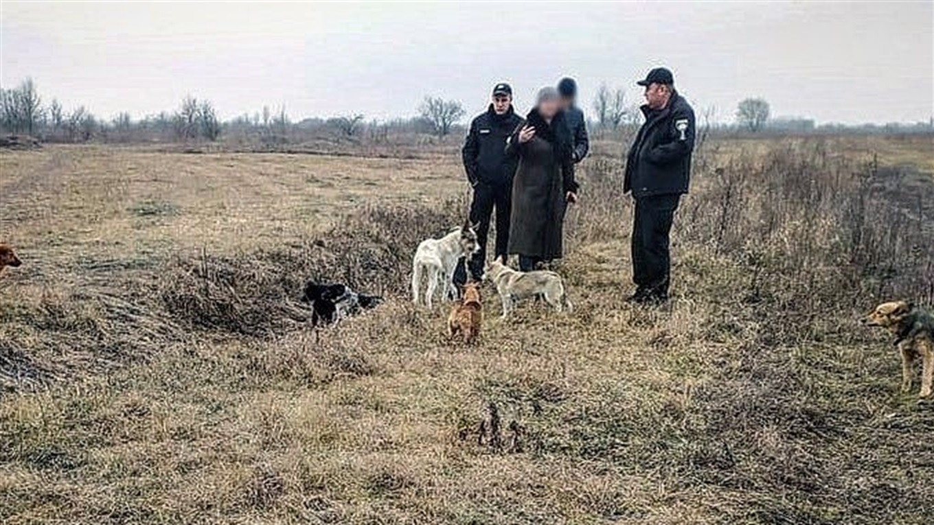 Новини міста за 13-19 січня: пожежа, підпал, будівництво та вбивство собаки