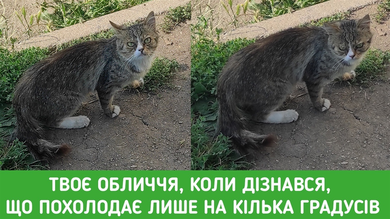 З 21 липня Первомайську обіцяють грозу та зниження температури: прогноз погоди на 3 дні