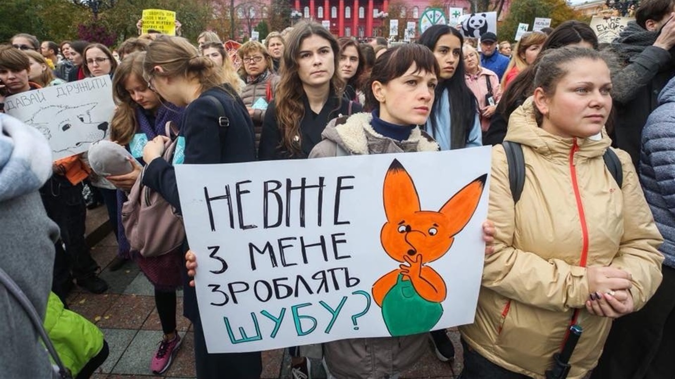 У Краматорську та Сєверодонецьку пройдуть марші за права тварин: знайомимо з головними вимогами