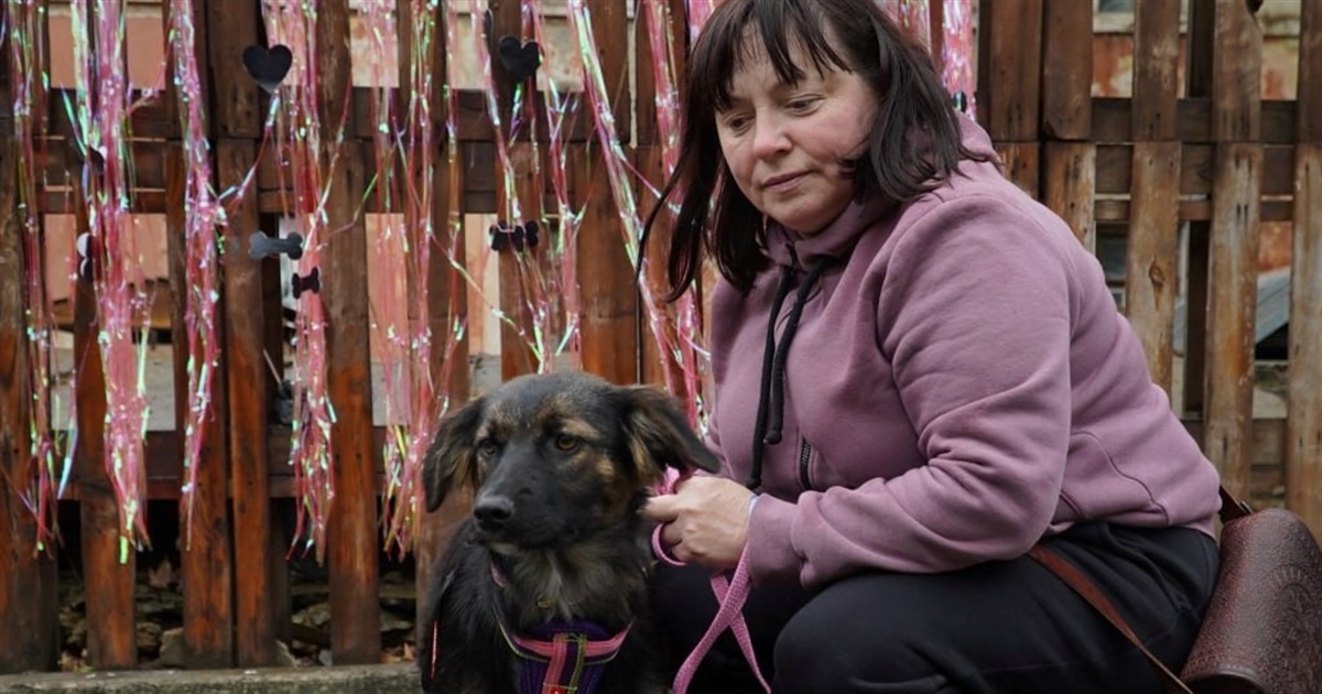 У Миколаєві пройшла перша виставка-прилаштування тварин Dog-market: скільки песиків знайшли сім’ю?