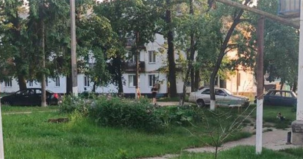 На Житомирщині гадюка вкусила 8-річного хлопчика біля автобусної зупинки