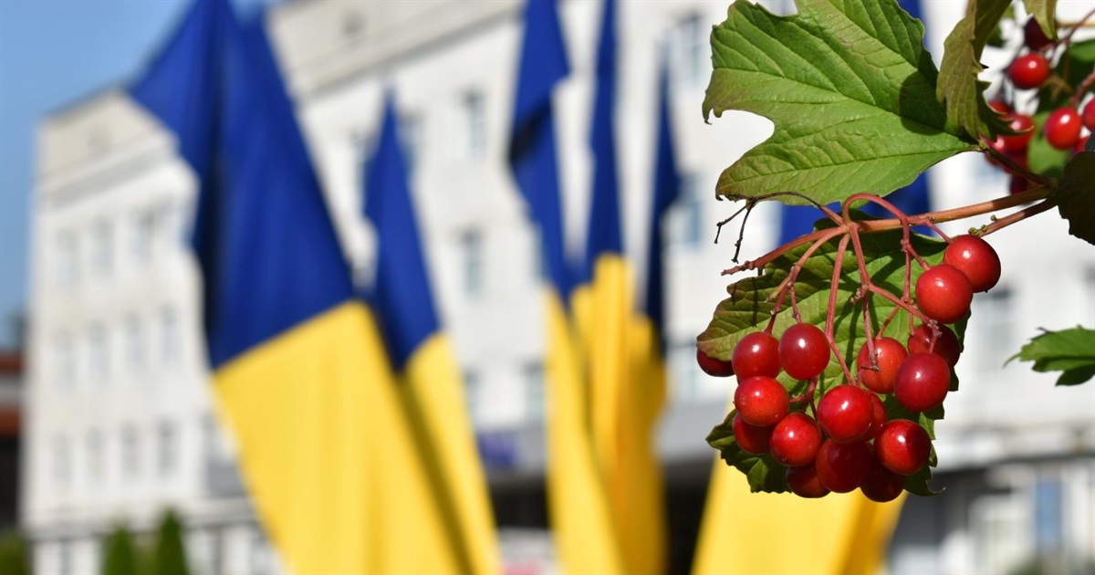 Посадовці міськради проведуть прямі етери, де звітуватимуть про роботу виконавчих органів Звягеля