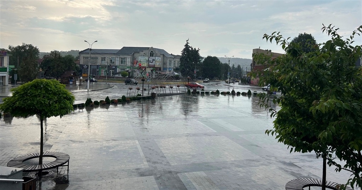 Квест, виставки та заходи памʼяті: афіша головних подій тижня у Городку