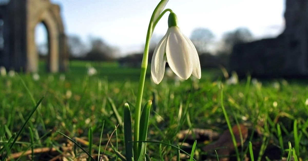 На вихідних на Сумщині - до плюс 14 та без опадів: прогноз погоди