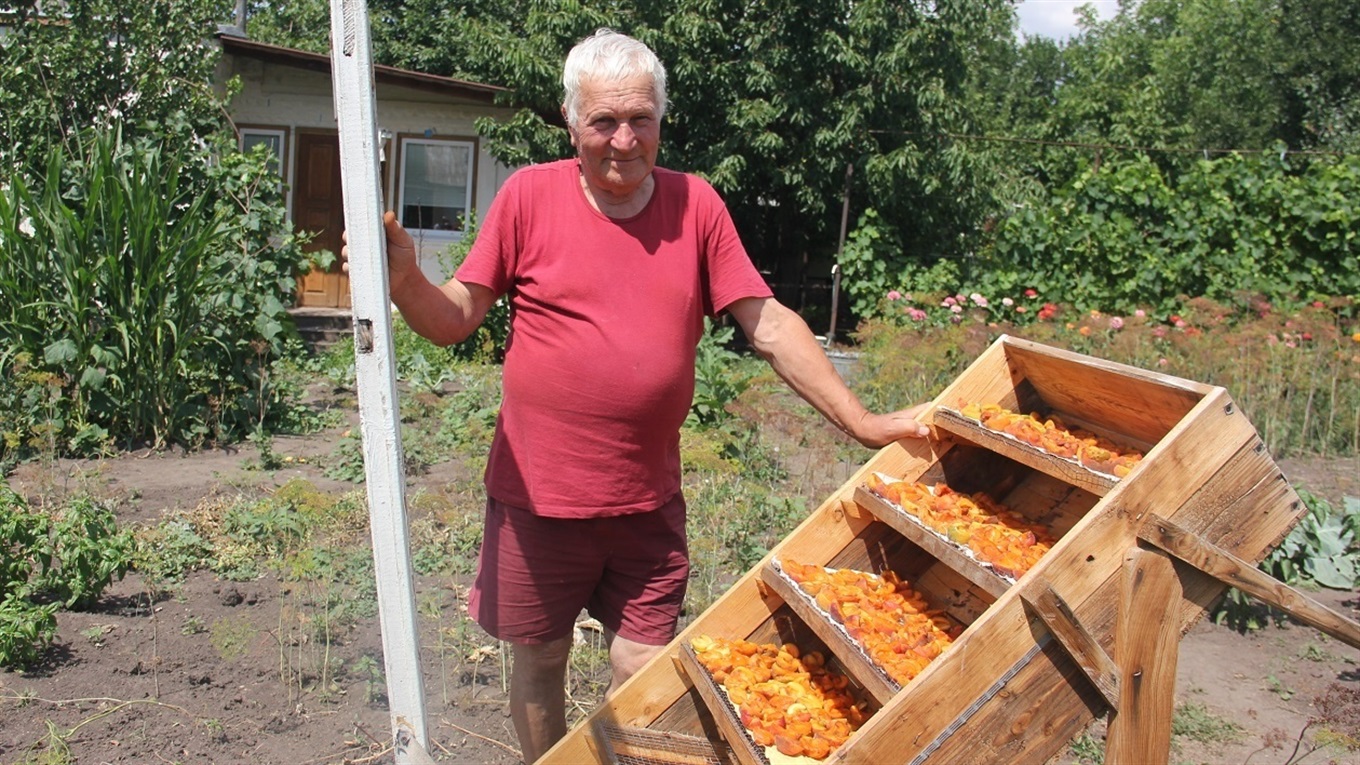 «Ловить» сонце і сушить фрукти: на Калинівщині сільський умілець виготовив пересувну сушарку