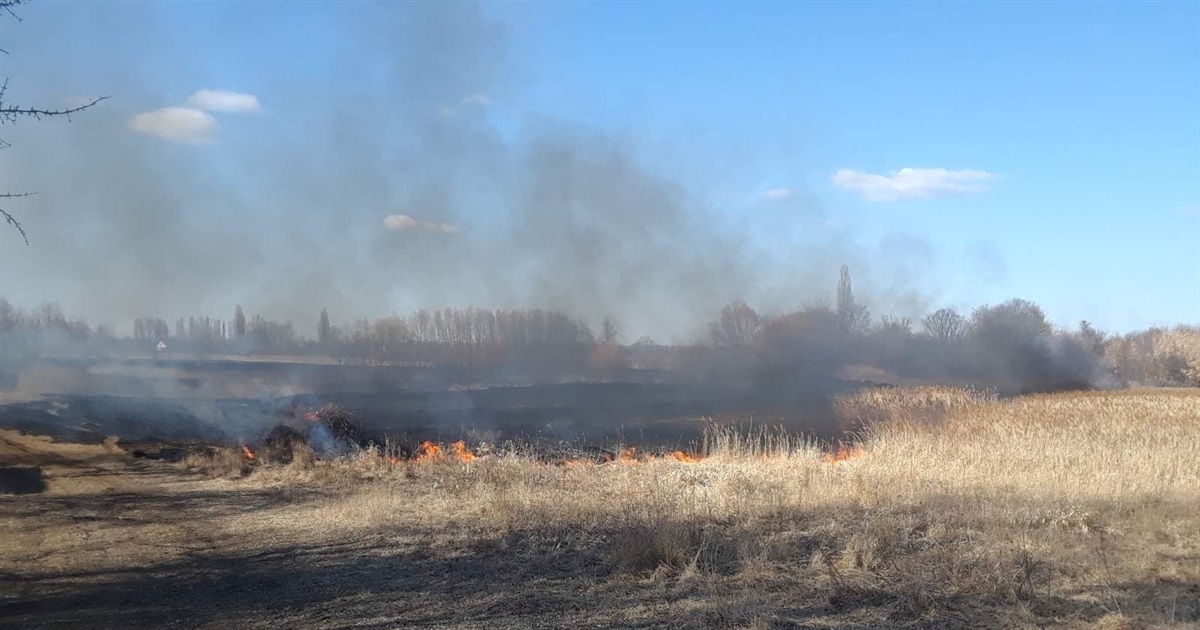 На Переяславщині через спалювання сухої трави горів будинок. В області – 21 пожежа за добу
