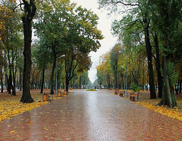 Чого чекати від погоди? Хмарно, дощ і похолоднішає