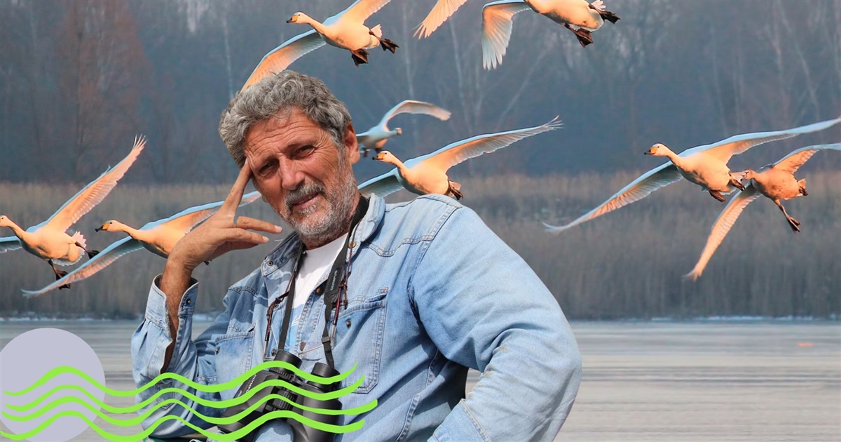 Шәуеттің ауыздан ауызға тасымалдануының фотосы